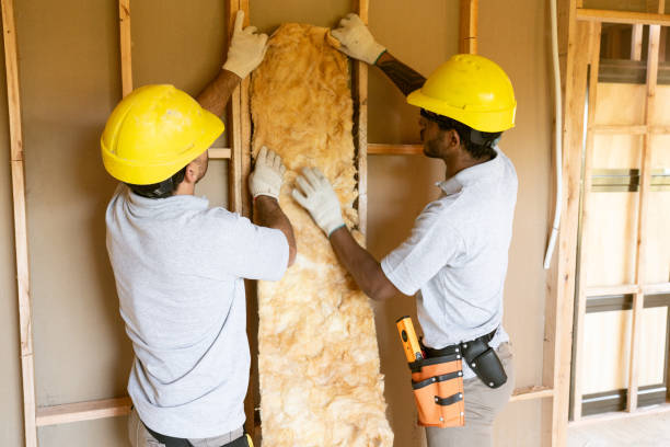 Best Professional Insulation Contractor  in Johnston City, IL