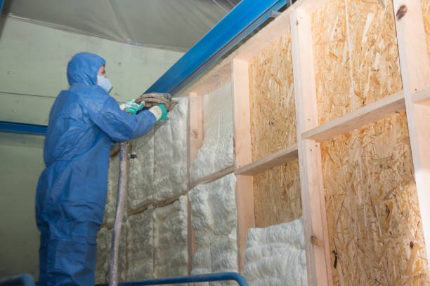 Best Spray Foam Insulation  in Johnston City, IL